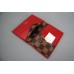 LOUIS VUITTON KARTVIZIT ITHAL